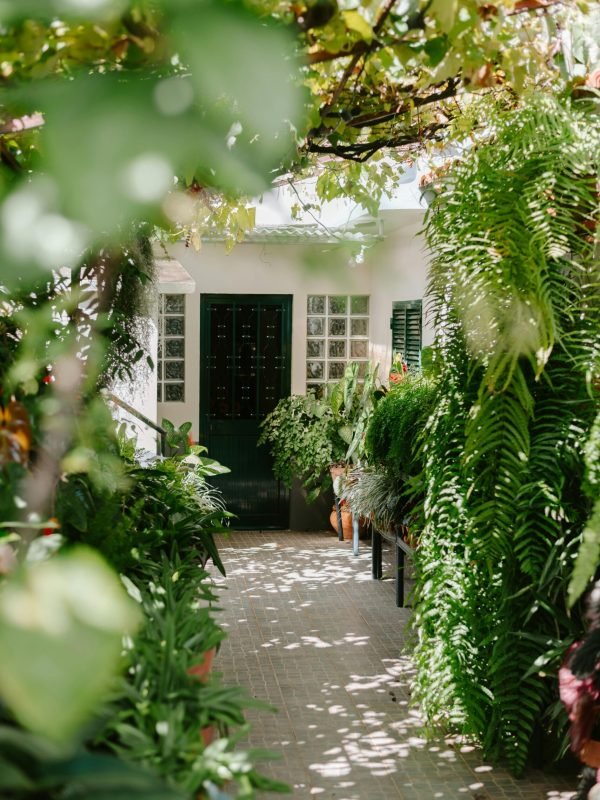 pexels-harriet-b-392993362-18687550